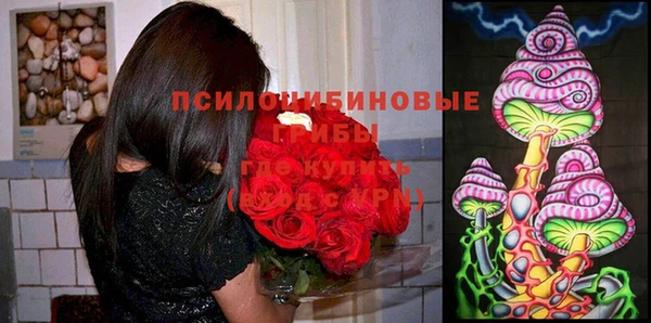 первитин Нязепетровск