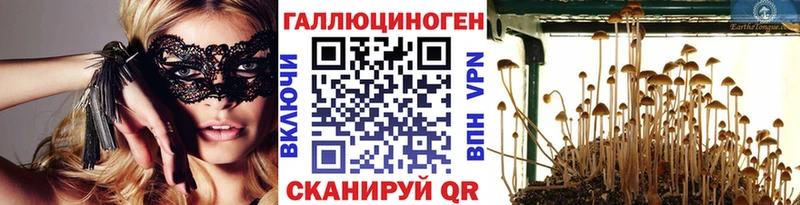 Галлюциногенные грибы GOLDEN TEACHER Струнино